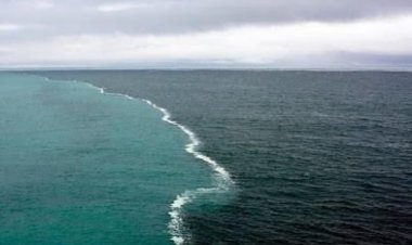 यहाँ मिलकर भी नहीं मिल पता महासागरों का पानी! Two sea meet but stay separated