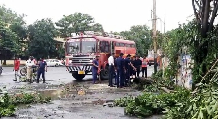 तेज़ हवाओं के साथ हुई बारिश से शहर के गेंडा सर्कल पर पेड़ धराशाई....