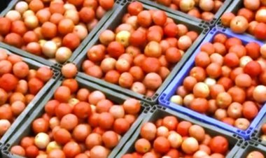 आखिरकार कब कम होंगे टमाटर के दाम!