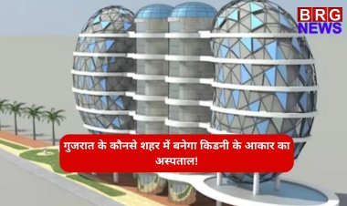 गुजरात के कौनसे शहर में बनेगा किडनी के आकार का अस्पताल!