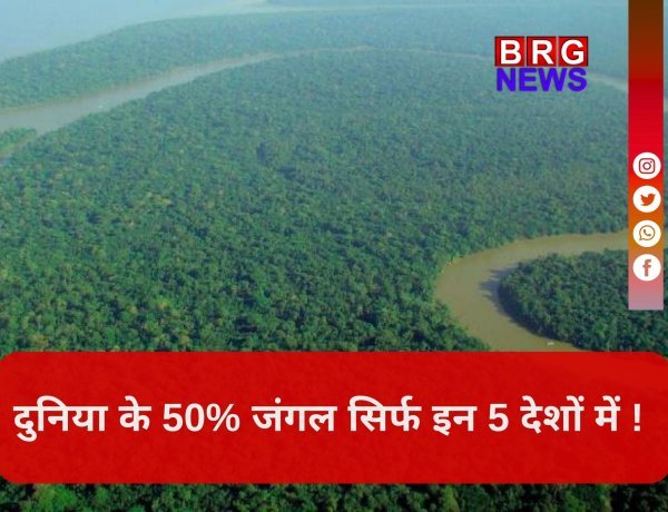 क्या आप जानते हैं कि दुनिया के 50% से ज्यादा जंगल केवल 5 देशों में सिमटे हैं ?