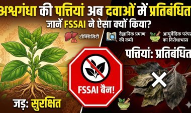 अश्वगंधा की पत्तियों पर बैन! क्यों डरा हुआ है FSSAI?