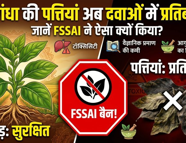 अश्वगंधा की पत्तियों पर बैन! क्यों डरा हुआ है FSSAI?