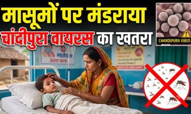 गुजरात में चांदीपुरा वायरस का कहर !