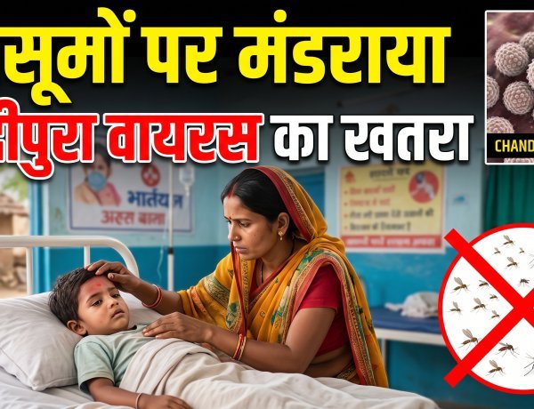 गुजरात में चांदीपुरा वायरस का कहर !
