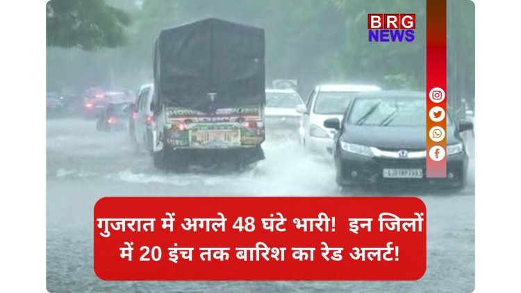 48 घंटे महा-अलर्ट! गुजरात के 8 जिलों में मूसलाधार बारिश की चेतावनी!