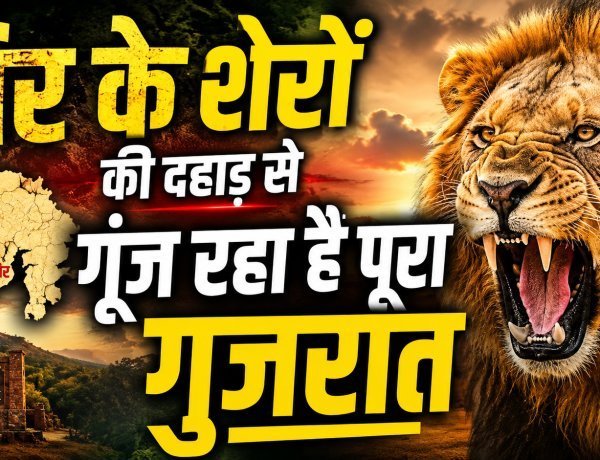 सिर्फ 12 से 891 तक ... जानिए एशियाई शेरों के संरक्षण की सबसे बड़ी 'सक्सेस स्टोरी'  !