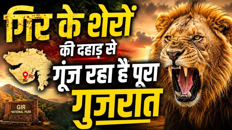 सिर्फ 12 से 891 तक ... जानिए एशियाई शेरों के संरक्षण की सबसे बड़ी 'सक्सेस स्टोरी'  !
